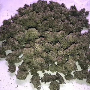 Purple Haze